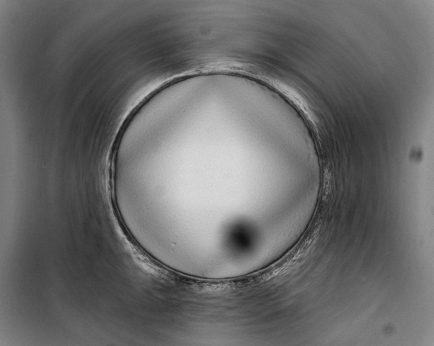 X0000099541047200806061450