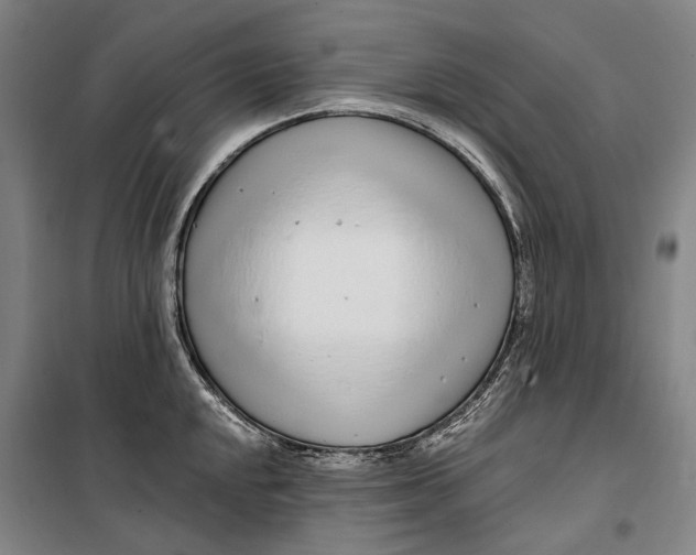 X0000099541048200806061450