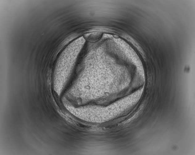 X0000099541049200806061450