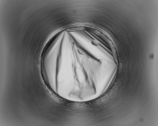 X0000099541050200806061450