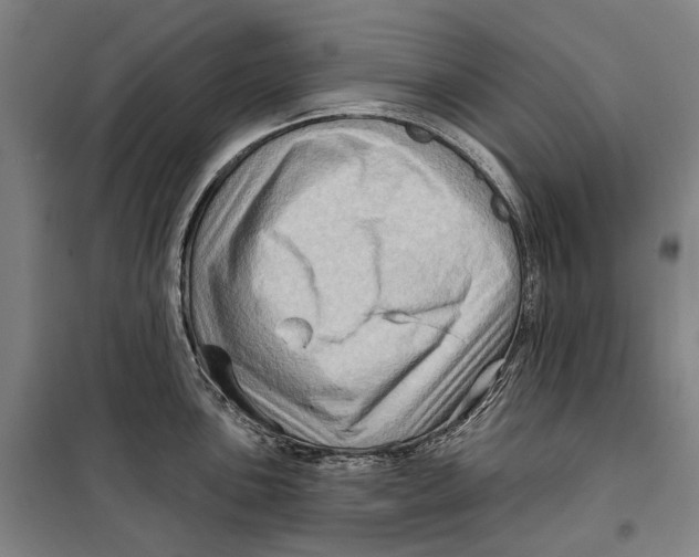 X0000099541051200806061450