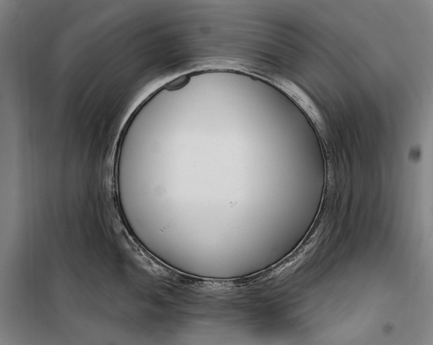 X0000099541052200806061450