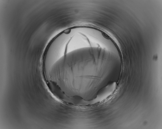 X0000099541053200806061450