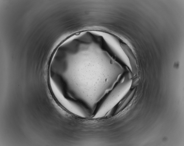 X0000099541054200806061450