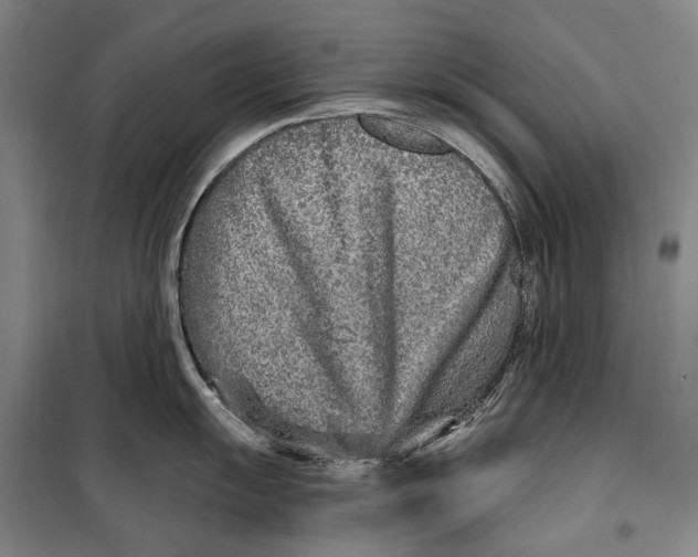 X0000099541055200806061450