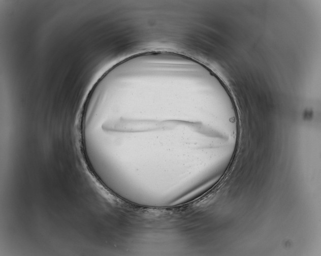 X0000099541056200806061450