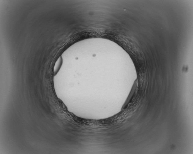 X0000099541057200806061449