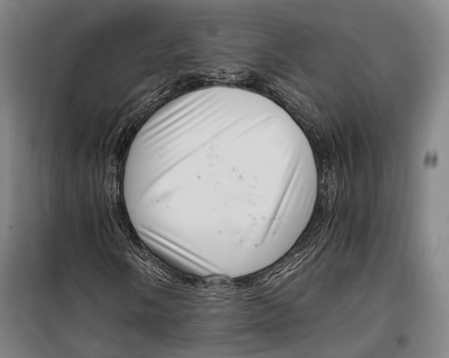 X0000099541058200806061449