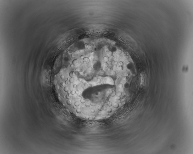 X0000099541059200806061449