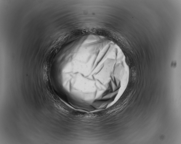 X0000099541060200806061449