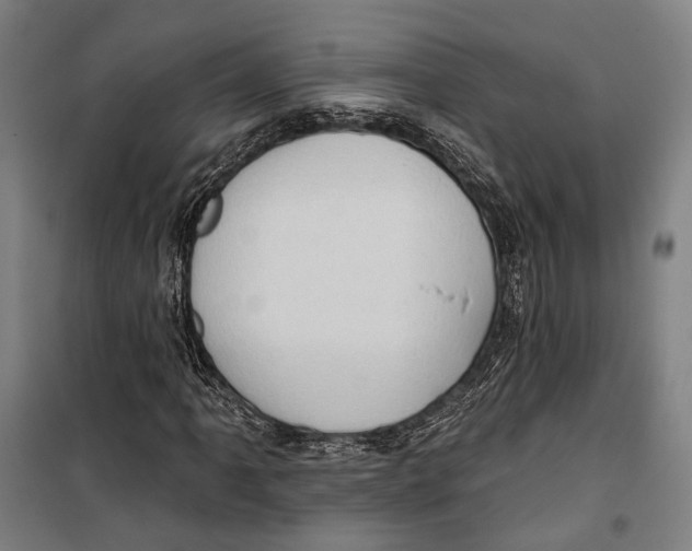 X0000099541061200806061449