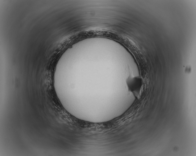 X0000099541062200806061449