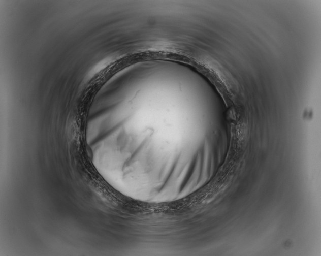 X0000099541064200806061449