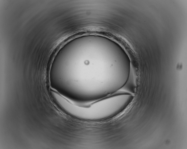 X0000099541065200806061449