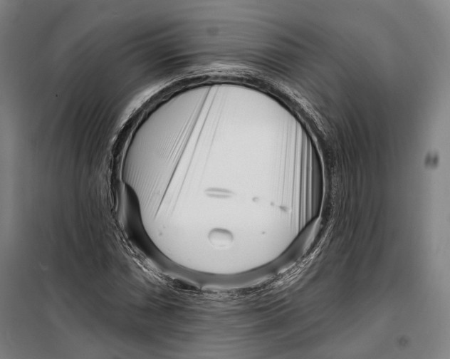 X0000099541066200806061449