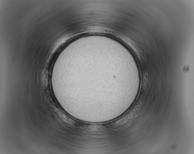 X0000099541067200806061449