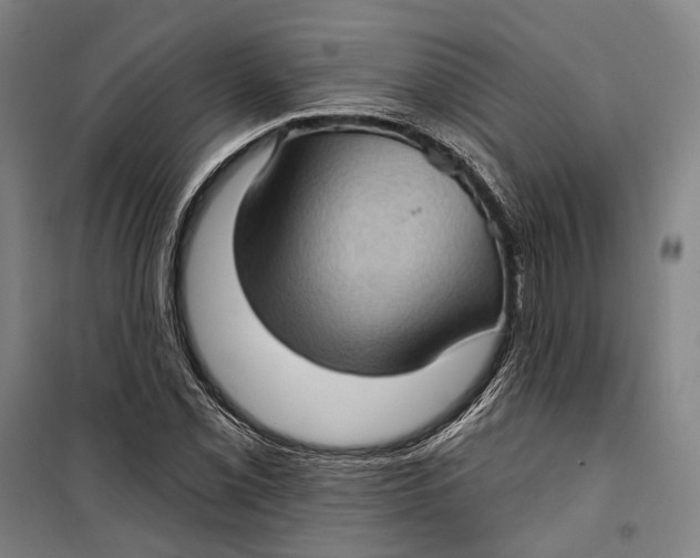 X0000099541069200806061449