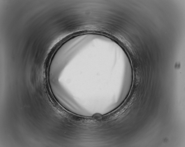 X0000099541070200806061449