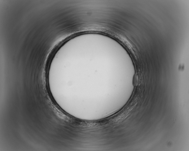 X0000099541072200806061449