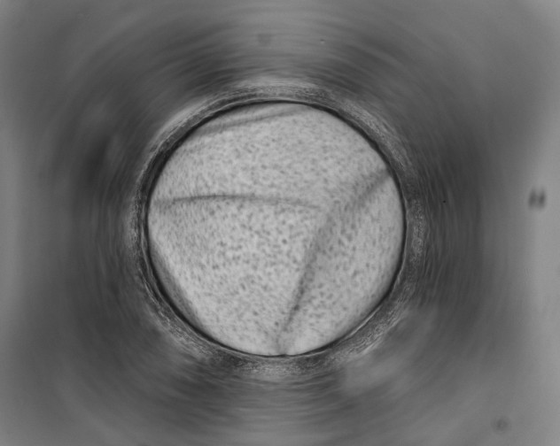 X0000099541074200806061449