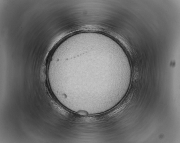 X0000099541075200806061449