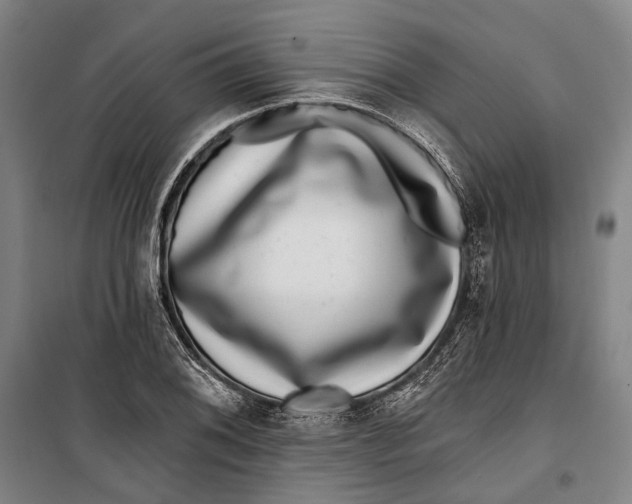 X0000099541076200806061449