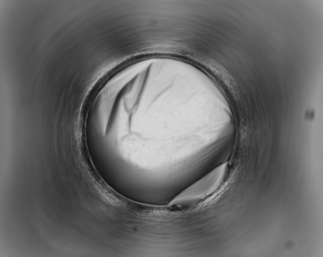 X0000099541077200806061449