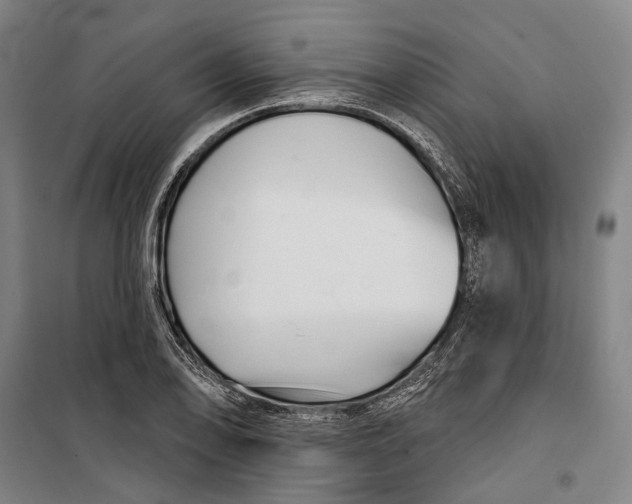 X0000099541078200806061449