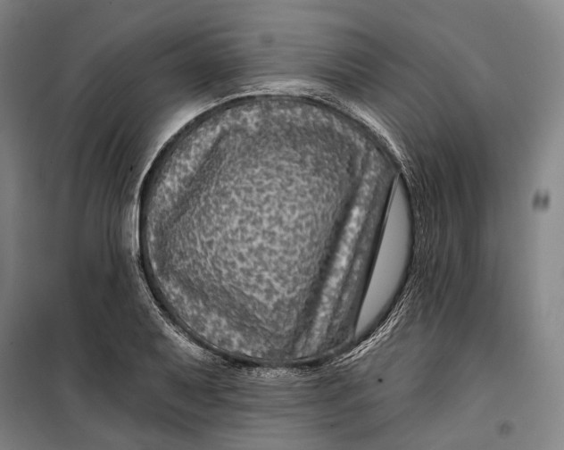 X0000099541079200806061449