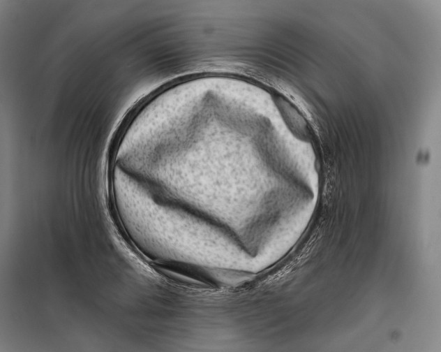 X0000099541080200806061449