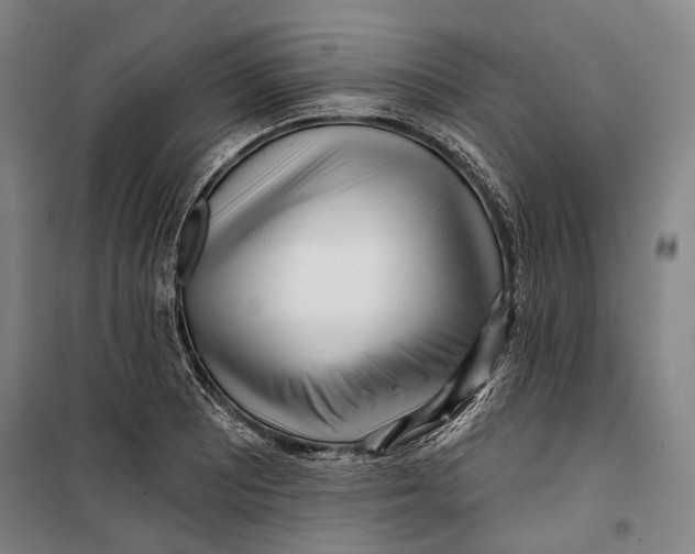 X0000099541081200806061449