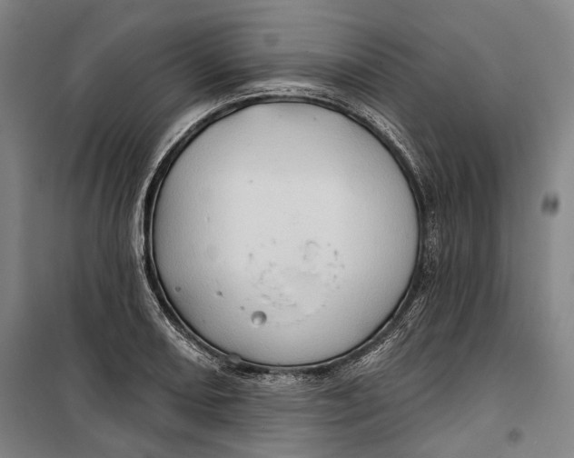 X0000099541082200806061449