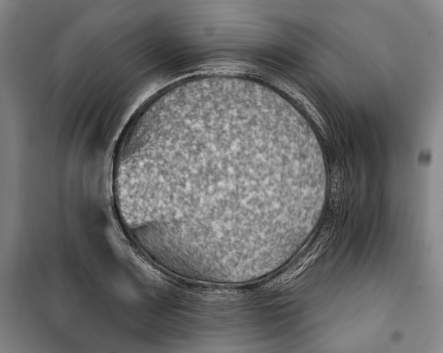 X0000099541083200806061449