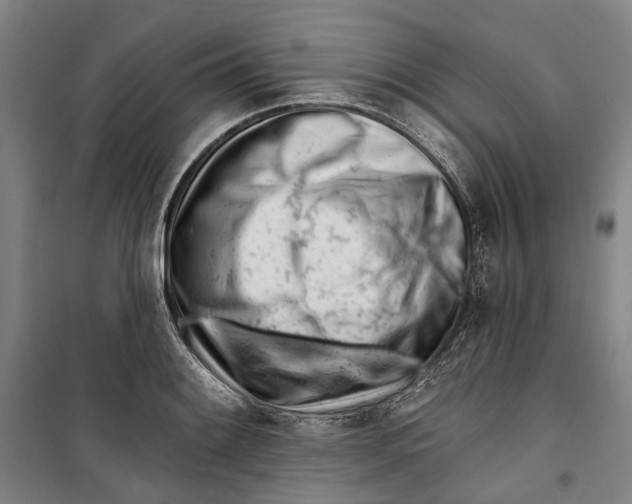 X0000099541084200806061449