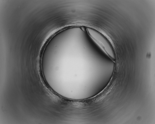 X0000099541085200806061449