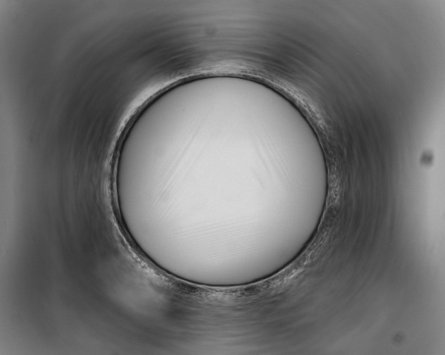 X0000099541086200806061449