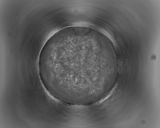 X0000099541087200806061449