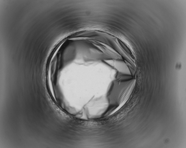 X0000099541088200806061449