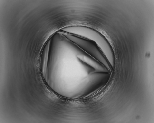 X0000099541089200806061449