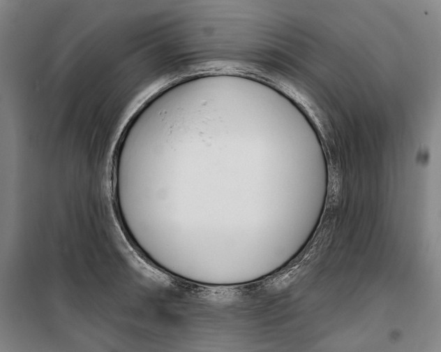 X0000099541090200806061449