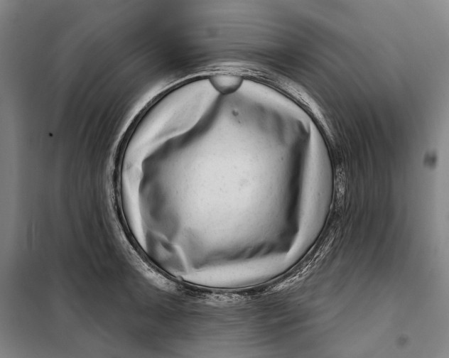 X0000099541091200806061449