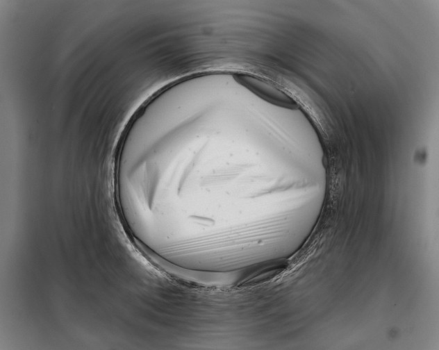 X0000099541092200806061449