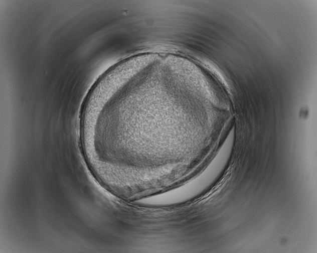 X0000099541095200806061449