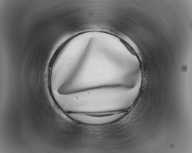 X0000099541096200806061449