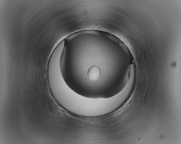 X0000099541097200806061449