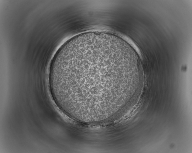 X0000099541099200806061449