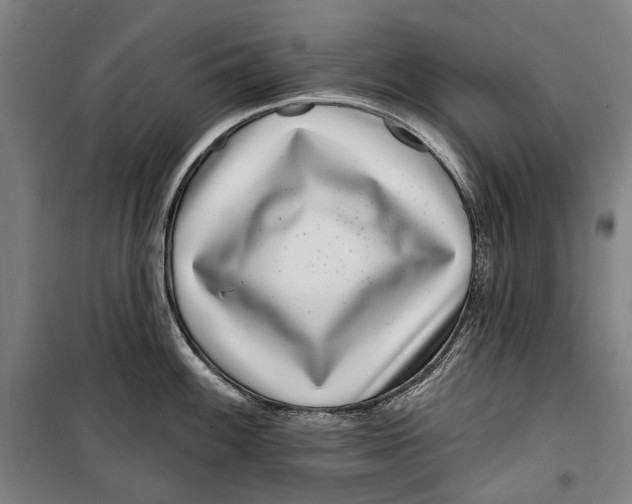 X0000099541100200806061449