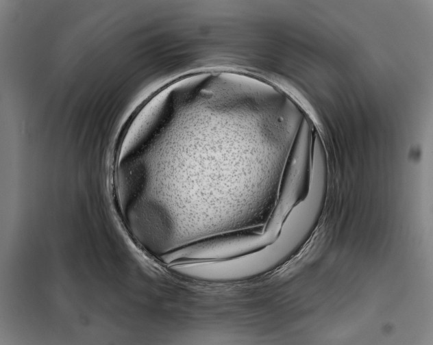 X0000099541101200806061449