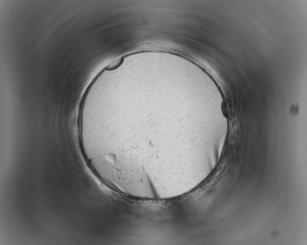 X0000099541103200806061449