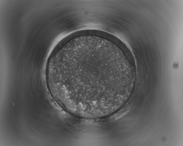 X0000099541104200806061449